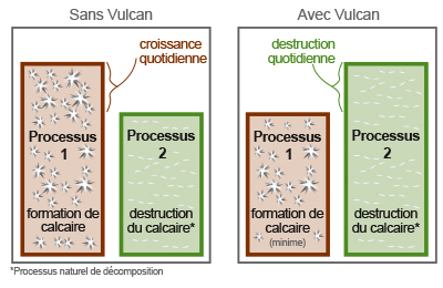 Vulcan Processes